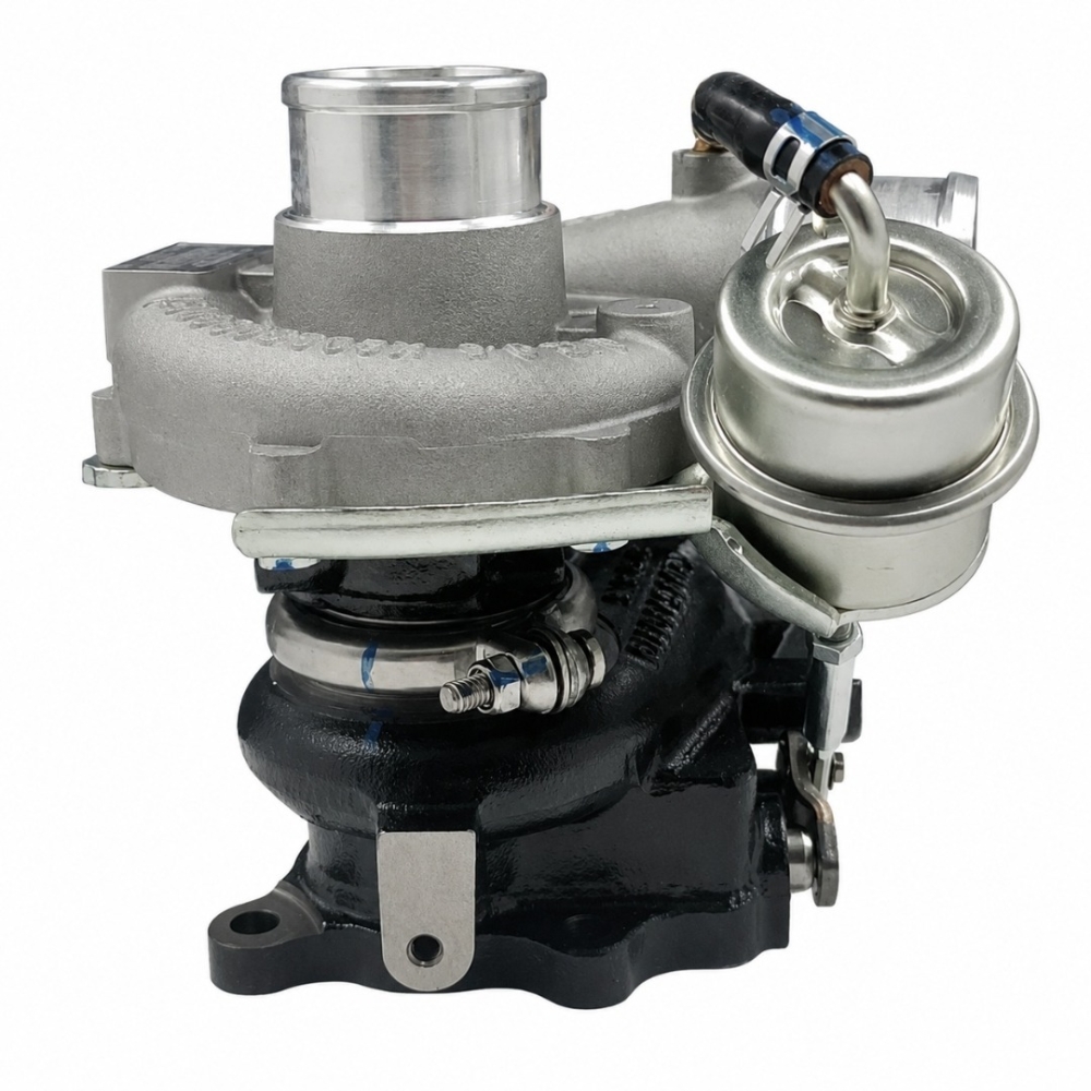 ��������������� Kangyue 5408703810003